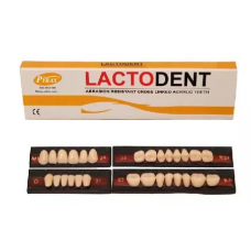  Lactodent (Acrylic Teeth) - Full Set